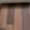 436686645_433019972915713_460005619828982203_n فينيل - بلجيكي - فرنسي - أمريكي