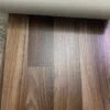 441963866_1405898376767460_1187065894364076241_n فينيل - بلجيكي - فرنسي - أمريكي